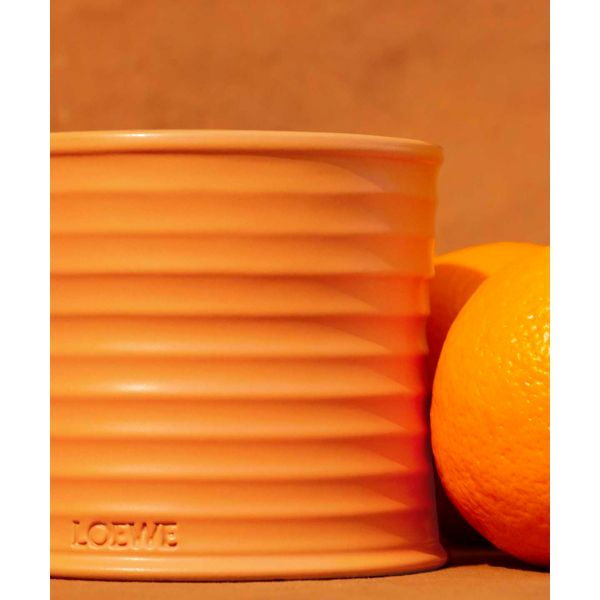 LOEWE | Loewe | Orange Blossom | Geurkaars | L