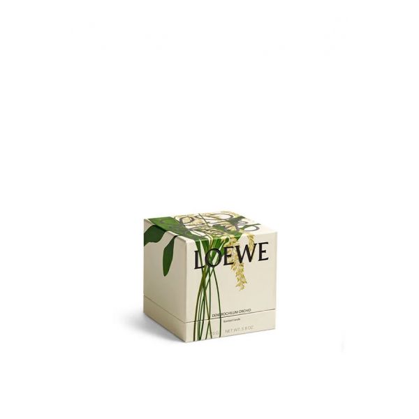 LOEWE | Loewe | Dendrochilum Magnum Orchid | Geurkaars | S