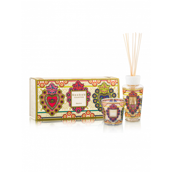 BAOBAB COLLECTION | Baobab Collection | My First Baobab | Mexico | Gift Box 