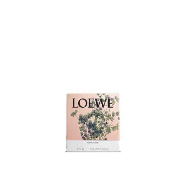 LOEWE  | Loewe | Oregano | Geurkaars | S