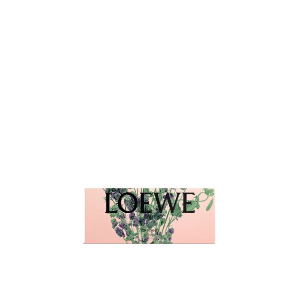 LOEWE  | Loewe | Oregano | Zeep 