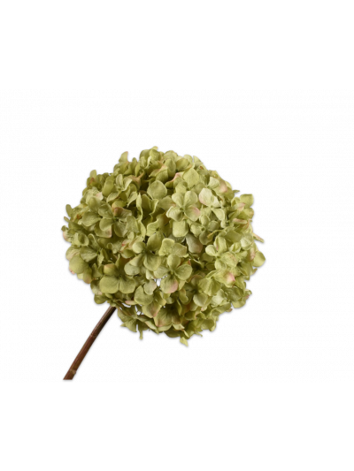 Silk-ka | Hortensia | Groen | 79 cm