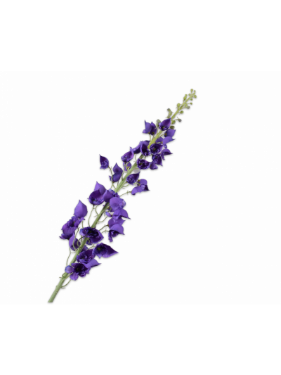 Silk-ka | Delphinium Tak Paars  | 135 cm