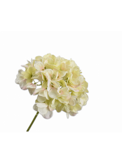 Silk-ka Hortensia Crème/Groen 48 cm - Vorspaget Home