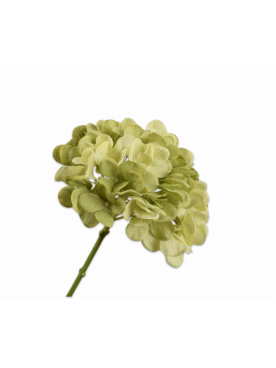 Silk-ka Hortensia Groen licht 48 cm - Vorspaget Home